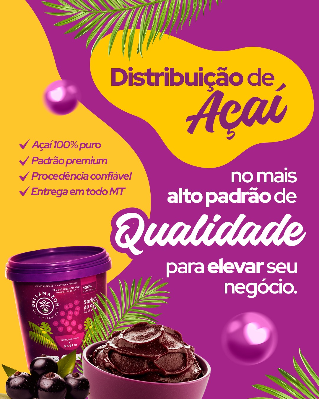 Post Instagram DNA Açaí 3