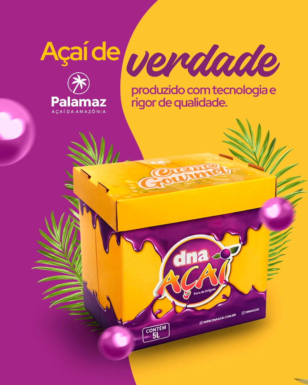 Post Instagram DNA Açaí 4